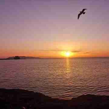 Casa Rubino, centrally located in Trapani Others