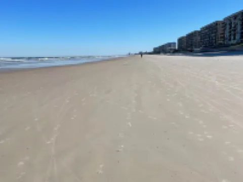 Beachfront Luxury Condo Hotels in Ponce Inlet