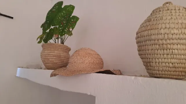 HAYA Haus your home away from home