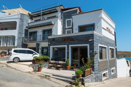 M Suite Отели в г. Gumbet