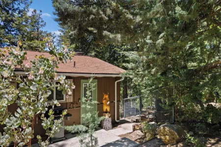 Central Heat & Air, WiFi, Wall Mural and Fully Fenced Minutes from Downtown