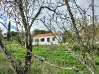 Country House Silves, Countryside, Beach and Tranquillity