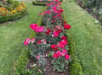 City Garden Kolašin Hotels near Maric Brothers House