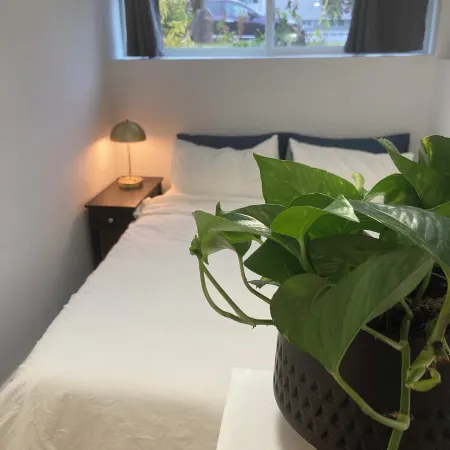 Natural Nook by Nelson lakeside park. Downtown walkable and pet friendly!