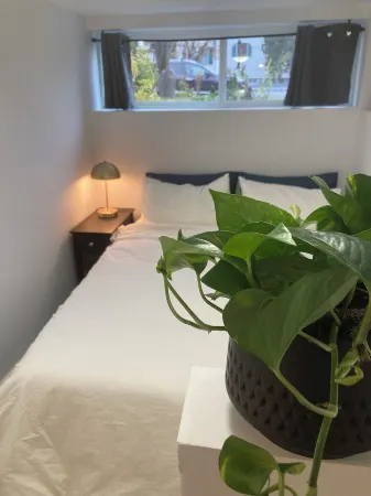 Natural Nook by Nelson lakeside park. Downtown walkable and pet friendly! Отели рядом с достопримечательностью «Парк Лейк Сайд»