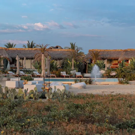 Lu Vee Oasis