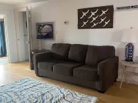 Charming waterfront 2 bedroom with bonus room that sleeps 8 in scenic Cedar Key فنادق في سيدار كي