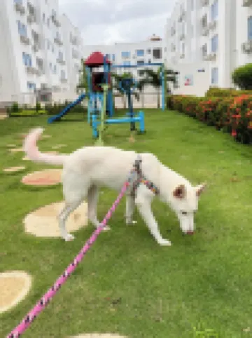 Charming apartment with AC in gorgeous Coveñas