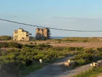 The Sandy Piper (Pets Allowed)