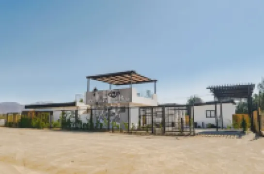 La Vid Urbana - 5 Cielos