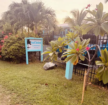 5 Nights Left in March  1 BR Oceanfront Condo Sleeps 4! Cane Bay! ST CROIX, USVI