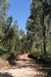 Vumba - Beira Suite - Wifi