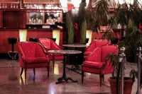 Park Hotel Diament Bielsko-Biała - bar