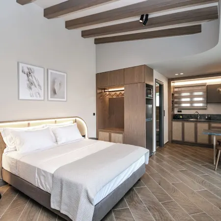 Terra Helios Suites & Studios
