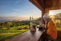 Doi Inthanon Tea Farmstay - Bergblick