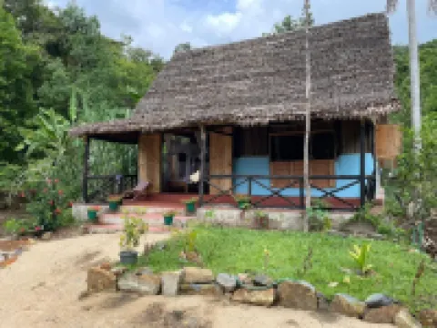 DJEMA forest