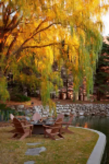 マリオット ミネアポリス サウスウェスト のホテル