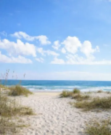 Lazy Palm-Free Beach Pass! Pool! 1/2 Mile to Marshwalk and Marina! 3 King Bdrms!