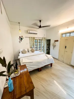 Molly's Hostel - Hostels