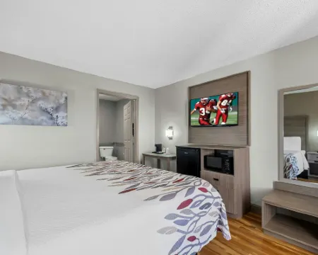 Red Roof Inn & Suites Wilson Hotels in Wilson