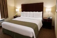 Travelodge by Wyndham Steele Hotels in 