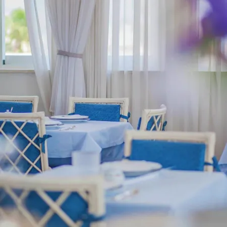 Hotel Domus