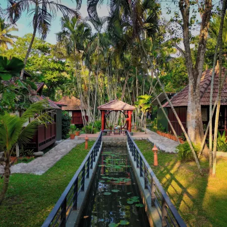 Thapovan waterscapes