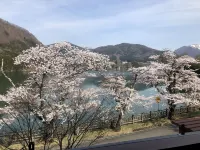 Forest Resort Sarugakyo Seikoso - วิว
