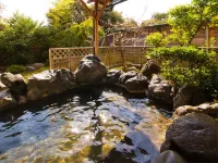 Hasegawa - bar