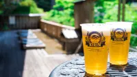 Hotel Kajikaso Hakone - Bar