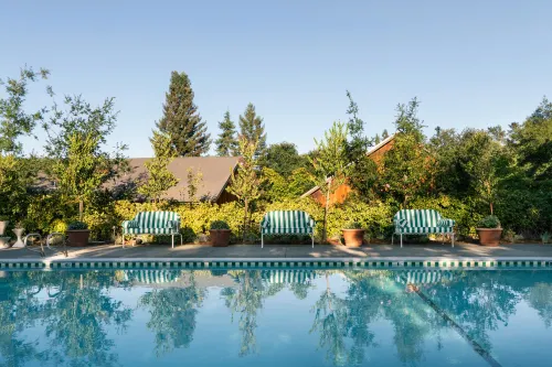 Le Petit Pali St Helena - 4-Star