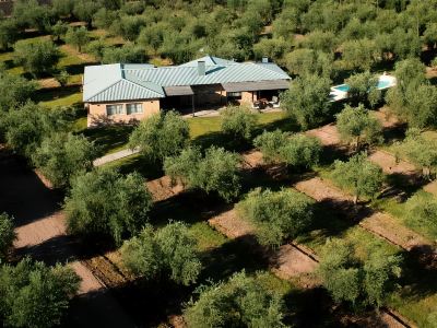 Finca Verde Oliva Wine & Olive Estate