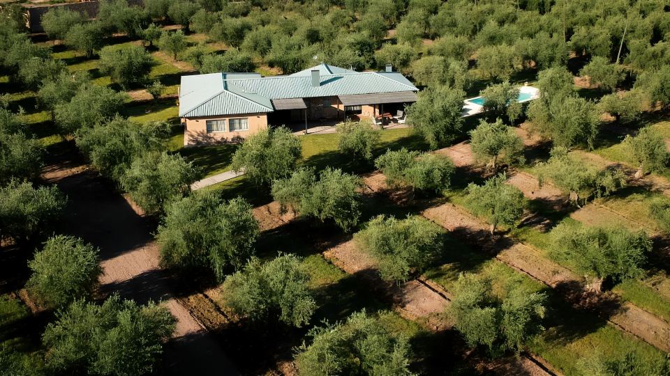 Finca Verde Oliva Wine & Olive Estate