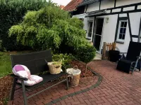 Ferienwohnung Zum Schlosspark Calden Các khách sạn ở Hofgeismar