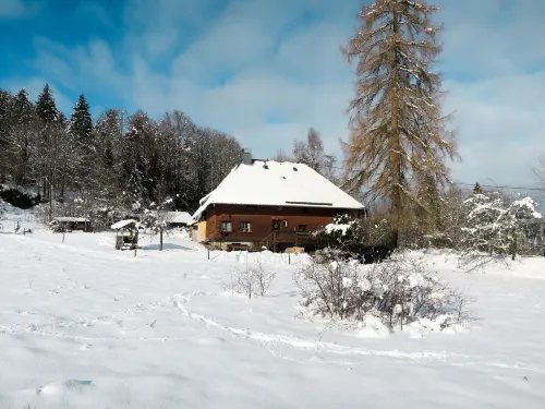 Bistenhof - Pet friendly
