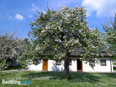 Zimmerding Managed by Hotel Apfelbaum