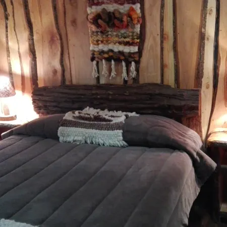 Wonderful Rustic Cabin, with Native Trees, with Rio Trancura, Equipped