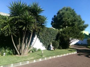 Impeccable 1 Bed Villa in Ribeira Grande