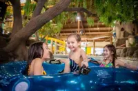 Timber Ridge Lodge and Waterpark - Hot Tub