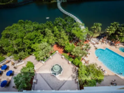 Hilton St. Petersburg Carillon Park Hotele w: Pinellas County
