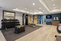 Hampton Inn & Suites Modesto-Salida - Fitnessstudio