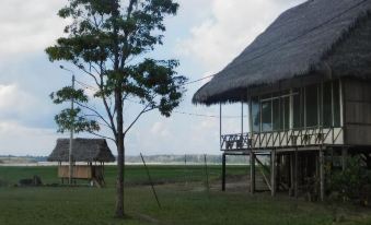 Amazon Eco Tours & Lodge