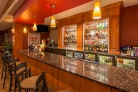 Holiday Inn CASPER EAST - MEDICAL CENTER by IHG - bar