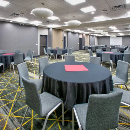 Holiday Inn DFW AIRPORT SOUTH by IHG