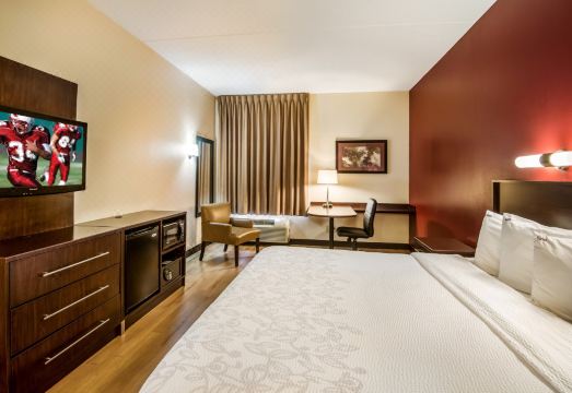 레드 루프 인 전경