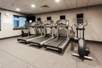 Holiday Inn Express & Suites RAPID CITY I-90 by IHG - Gym