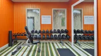 Holiday Inn Express ATLANTA GALLERIA-BALLPARK AREA by IHG - Kuntosalit