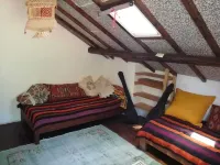 Ecer Pansiyon - pet friendly