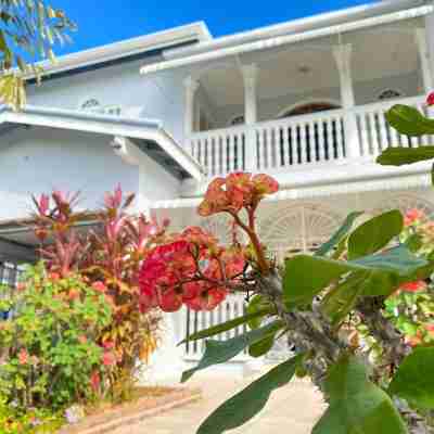 5-Bed Villa and Pool in Runaway Bay, Jamaica Hotel Exterior