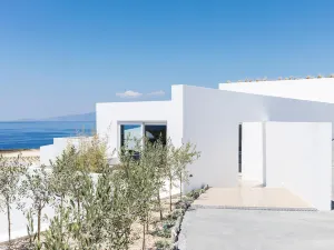 Andronis Arcadia Hotel